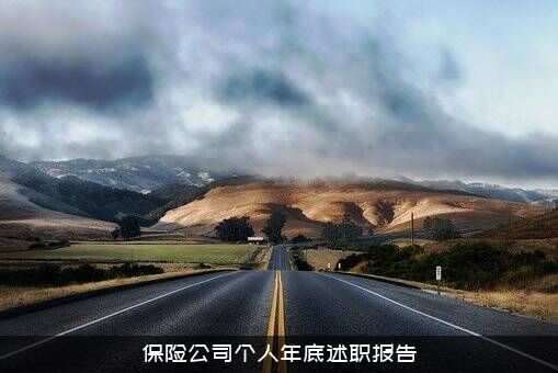 保险公司个人年底述职报告
