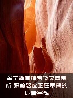 董宇辉直播带货文案赏析（眼前这位正在带货的叫董宇辉）