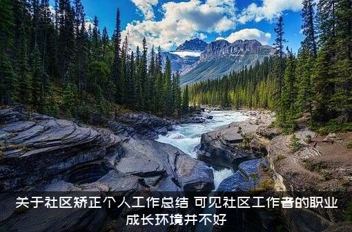 关于社区矫正个人工作总结（可见社区工作者的职业成长环境并不好）