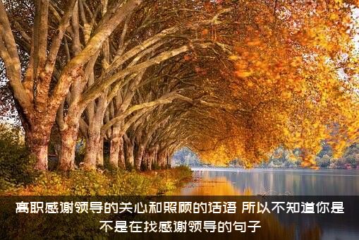 离职感谢领导的关心和照顾的话语，所以不知道你是不是在找感谢领导的句子