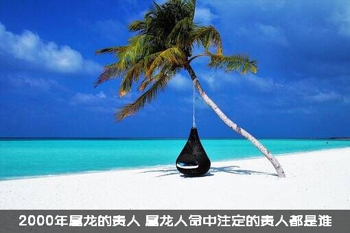 2000年属龙的贵人（属龙人命中注定的贵人都是谁）