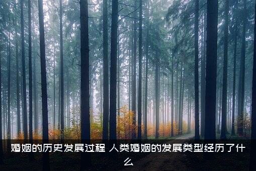 婚姻的历史发展过程（人类婚姻的发展类型经历了什么）