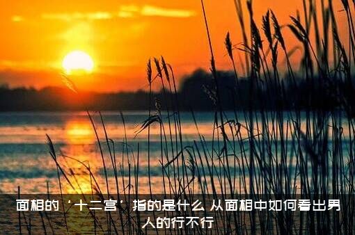 面相的‘十二宫’指的是什么（从面相中如何看出男人的行不行）