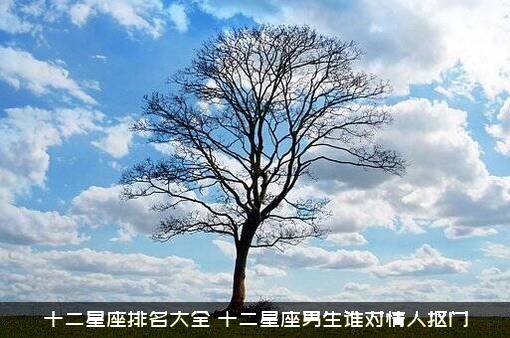 十二星座排名大全（十二星座男生谁对情人抠门）