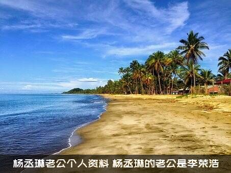 杨丞琳老公个人资料（杨丞琳的老公是李荣浩）