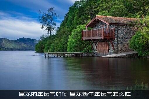 属龙的年运气如何（属龙遇牛年运气怎么样）