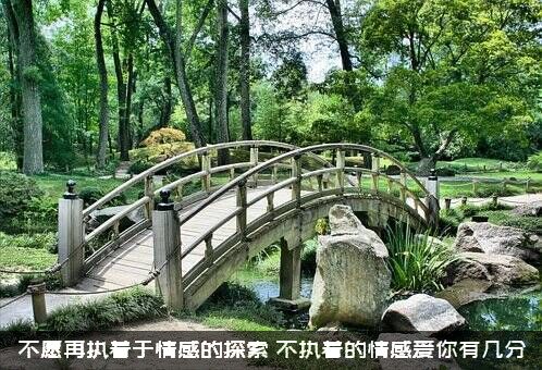 不愿再执着于情感的探索？不执着的情感爱你有几分？