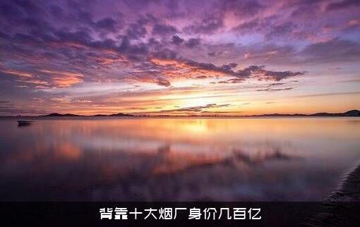 背靠十大烟厂身价几百亿