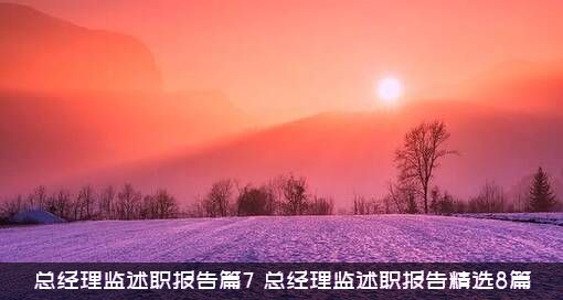 总经理监述职报告篇7（总经理监述职报告精选8篇）