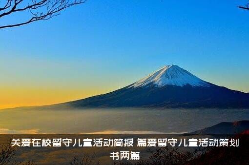 关爱在校留守儿童活动简报（篇爱留守儿童活动策划书两篇）