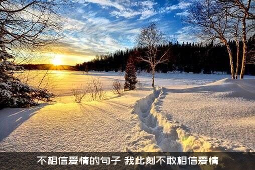 不相信爱情的句子？我此刻不敢相信爱情？