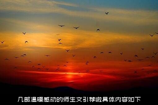 几部温暖感动的师生文引荐啦具体内容如下