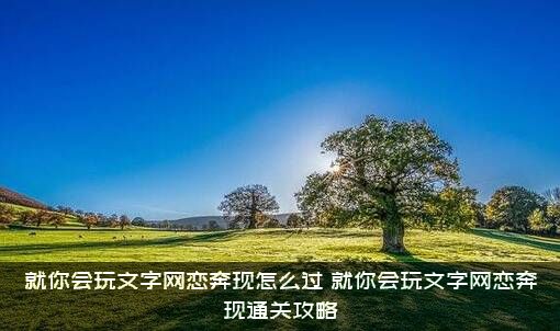 就你会玩文字网恋奔现怎么过（就你会玩文字网恋奔现通关攻略）