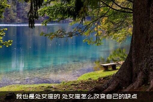 我也是处女座的（处女座怎么改变自己的缺点）