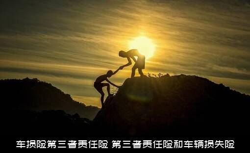 车损险第三者责任险（第三者责任险和车辆损失险）