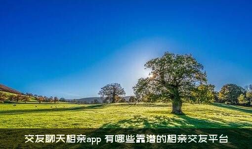 交友聊天相亲app（有哪些靠谱的相亲交友平台）