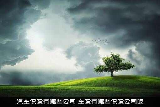 汽车保险有哪些公司（车险有哪些保险公司呢）