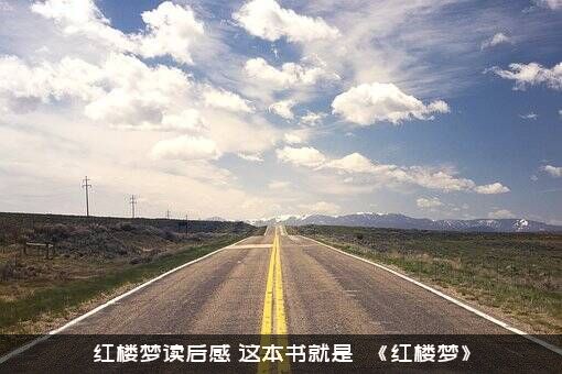 红楼梦读后感（这本书就是――《红楼梦》）