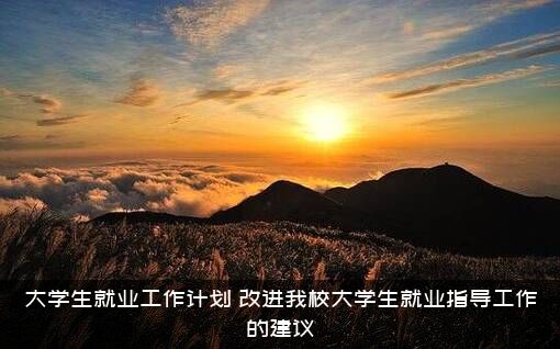 大学生就业工作计划（改进我校大学生就业指导工作的建议）