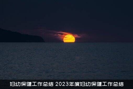 妇幼保健工作总结（2023年度妇幼保健工作总结）
