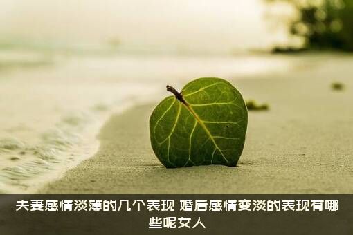夫妻感情淡薄的几个表现（婚后感情变淡的表现有哪些呢女人）