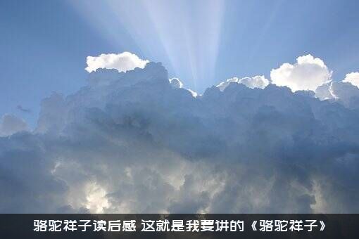 骆驼祥子读后感（这就是我要讲的《骆驼祥子》）