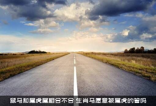 鼠马和属虎属相合不合？生肖马愿意被属虎的管吗？