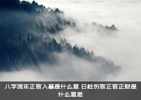 八字流年正官入墓是什么意（日柱伤官正官正财是什么意思）
