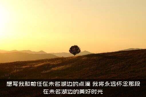 想写我和前任在未名湖边的点滴（我将永远怀念那段在未名湖边的美好时光）