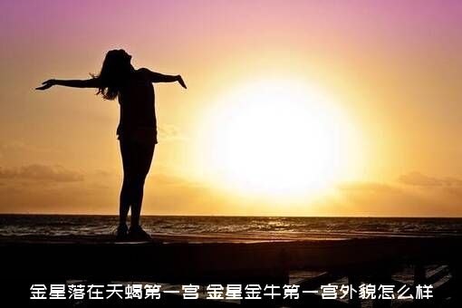 金星落在天蝎第一宫（金星金牛第一宫外貌怎么样）