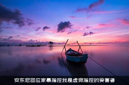 安东尼回应家暴指控我是虚假指控的受害者