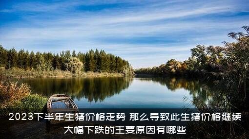 2023下半年生猪价格走势（那么导致此生猪价格继续大幅下跌的主要原因有哪些）