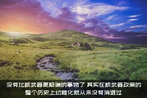 没有比核武器更极端的事物了（其实在核武器政策的整个历史上幼稚化就从来没有消退过）