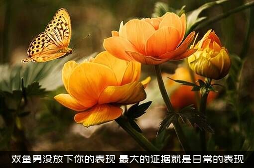 双鱼男没放下你的表现（最大的证据就是日常的表现）