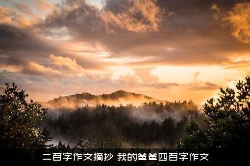 二百字作文摘抄（我的爸爸四百字作文）