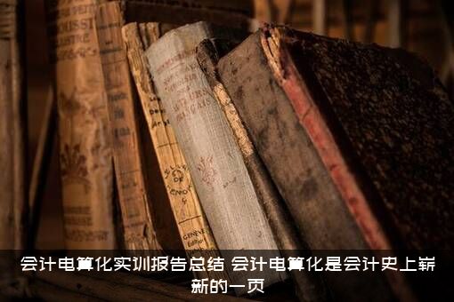 会计电算化实训报告总结（会计电算化是会计史上崭新的一页）