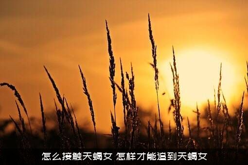 怎么接触天蝎女？怎样才能追到天蝎女？