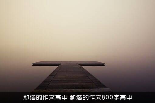 和谐的作文高中（和谐的作文800字高中）