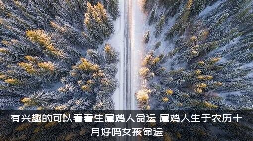 有兴趣的可以看看生属鸡人命运（属鸡人生于农历十月好吗女孩命运）
