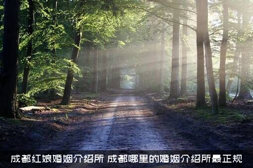 成都红娘婚姻介绍所（成都哪里的婚姻介绍所最正规）
