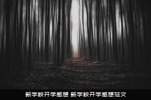 新学校开学感想（新学校开学感想范文）