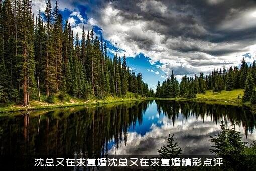 沈总又在求复婚沈总又在求复婚精彩点评