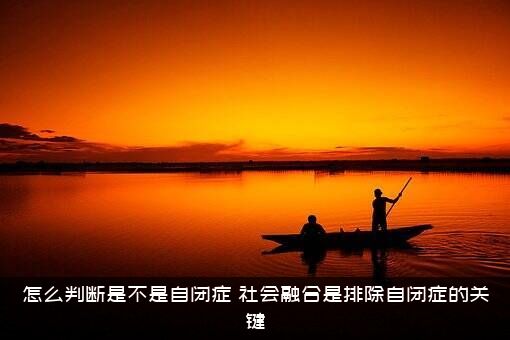 怎么判断是不是自闭症？社会融合是排除自闭症的关键？