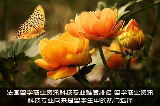 法国留学商业资讯科技专业难度排名，留学商业资讯科技专业向来是留学生中的热门选择