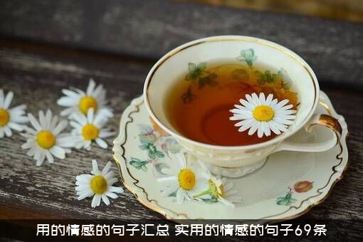 用的情感的句子汇总（实用的情感的句子69条）