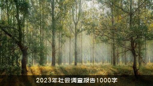 2023年社会调查报告1000字