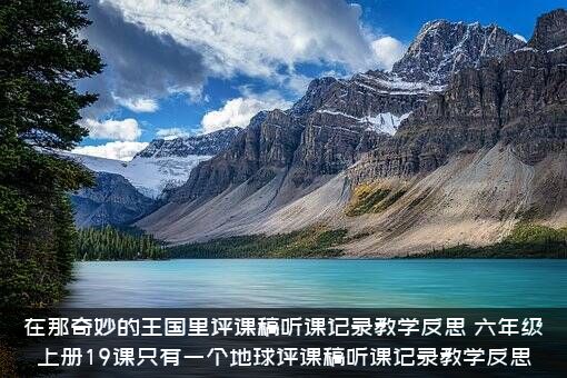在那奇妙的王国里评课稿听课记录教学反思（六年级上册19课只有一个地球评课稿听课记录教学反思）