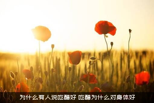 为什么有人说吃醋好？吃醋为什么对身体好？