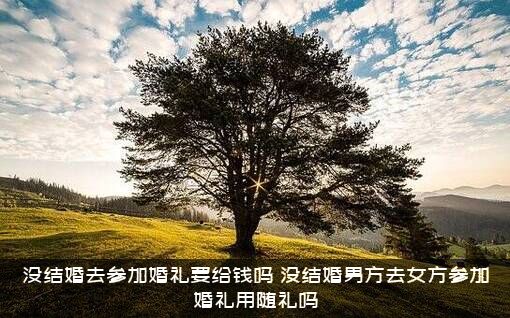 没结婚去参加婚礼要给钱吗？没结婚男方去女方参加婚礼用随礼吗？