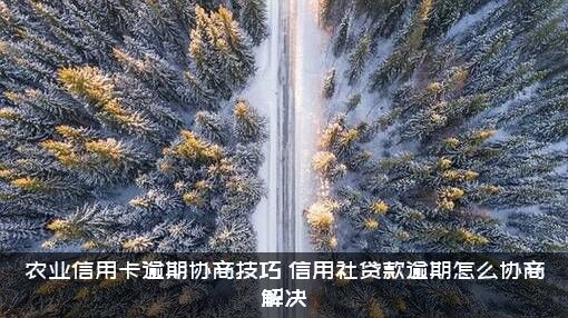 农业信用卡逾期协商技巧（信用社贷款逾期怎么协商解决）